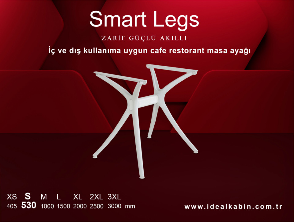 Smart Legs-2